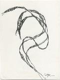 Clive Barker - Untitled AA627