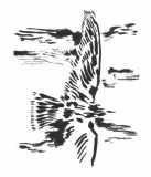 Clive Barker - Aerial