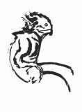 Clive Barker - A Fish Out Of Water