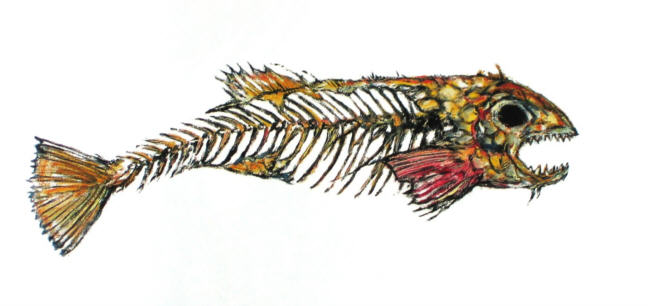 Clive Barker - Fish Skeleton