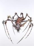 Clive Barker - Stitchling Spider