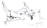 Clive Barker - Werecat