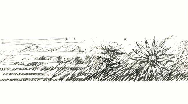 Clive Barker - Untitled AA209