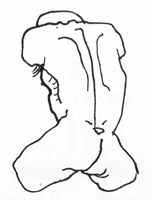 Clive Barker - Untitled AA38