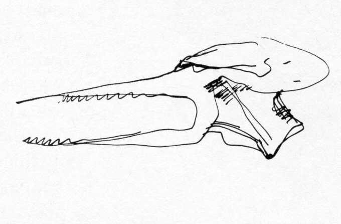 Clive Barker - Untitled AA418