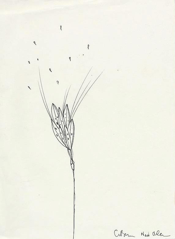 Clive Barker - Untitled AA827