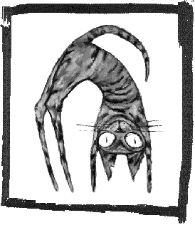 Abaratian Tarrie Cat