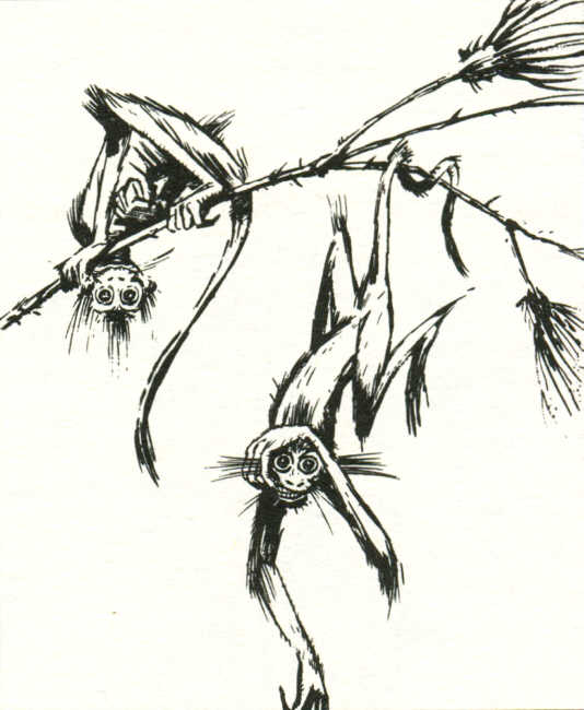 Clive Barker - The Ark's Survivors