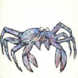 Clive Barker - Blue crab