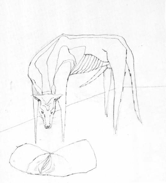 Clive Barker - Cat And Dog