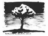 Clive Barker - The Illuminated Tree
