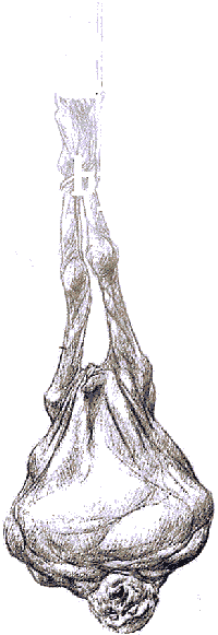 Production art by Patrick Tatopoulos