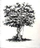 Clive Barker - Treehouse