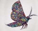 Clive Barker - The Vast Moth