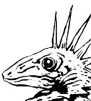 Clive Barker - Thief Wallpaper - Geckoes